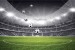 Wallpapers mural stadium in black and green range 2 versions