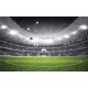Wallpapers mural stadium in black and green range 2 versions Wallpapers mural stadium in black and green range 2 versions