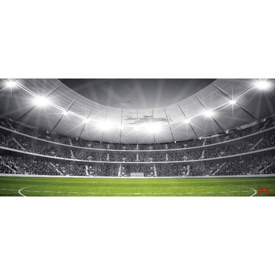 Wallpapers mural stadium in black and green range 2 versions Wallpapers mural stadium in black and green range 2 versions