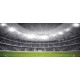 Wallpapers mural stadium in black and green range 2 versions Wallpapers mural stadium in black and green range 2 versions