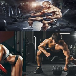 Wall murals model for fitness collage