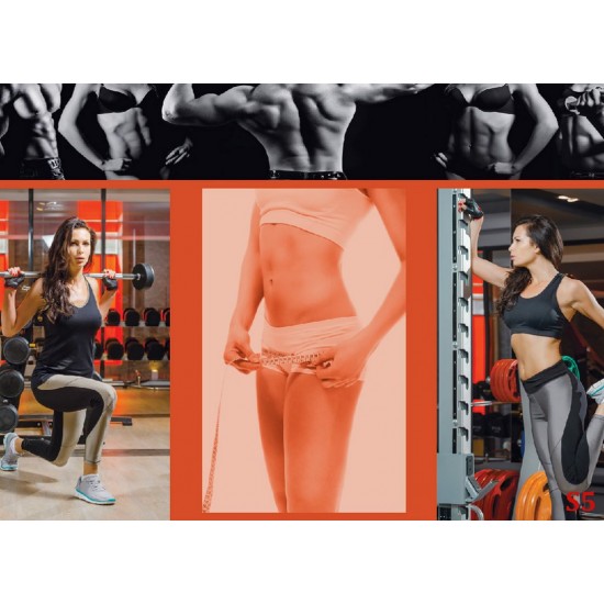 Wallpapers mural for women's fitness Wallpapers mural for women's fitness