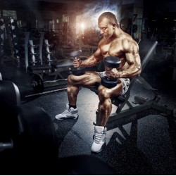 Wallpapers mural fitness mania