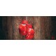 Wallpapers mural red boxing gloves Wallpapers mural red boxing gloves