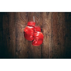 Wallpapers mural red boxing gloves