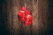 Wallpapers mural red boxing gloves