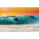 Wall mural water sport