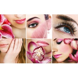 Wall murals fashion collage of beauty salons