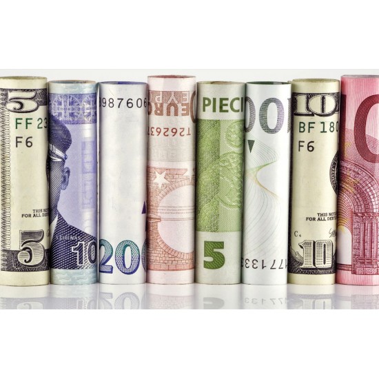 Wall murals of money