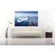 Wall murals airplane in flight panorama Wall murals airplane in flight panorama