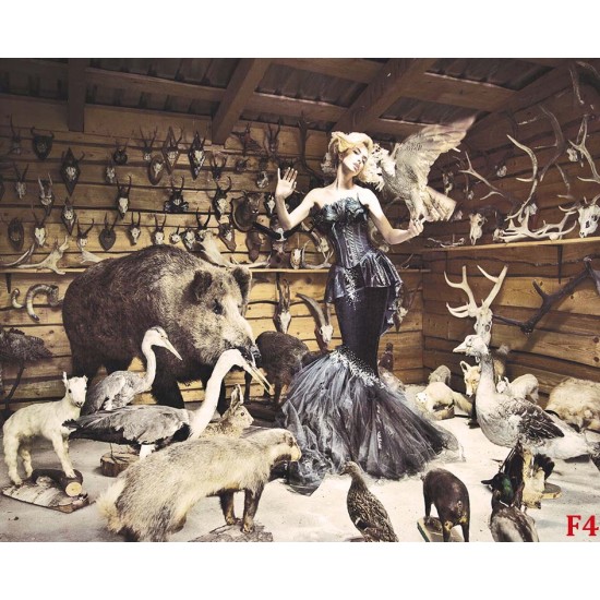 Photo mural woman background pattern of hunting trophies Photo mural woman background pattern of hunting trophies