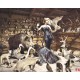 Photo mural woman background pattern of hunting trophies Photo mural woman background pattern of hunting trophies