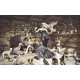 Photo mural woman background pattern of hunting trophies Photo mural woman background pattern of hunting trophies