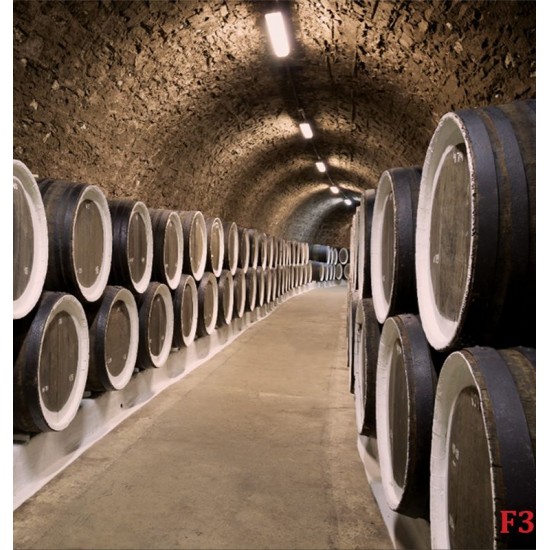 Wall mural wine cellar with wine barrels