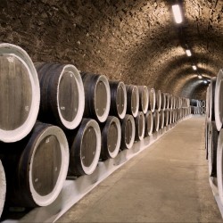 Wall mural wine cellar with wine barrels