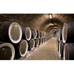 Wall mural wine cellar with wine barrels