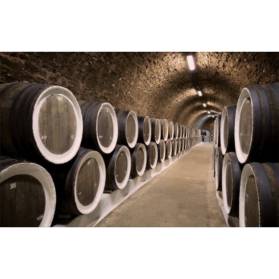 Wall mural wine cellar with wine barrels