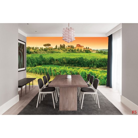 Wall mural vineyards beautiful views of Tuscany Wall mural vineyards beautiful views of Tuscany