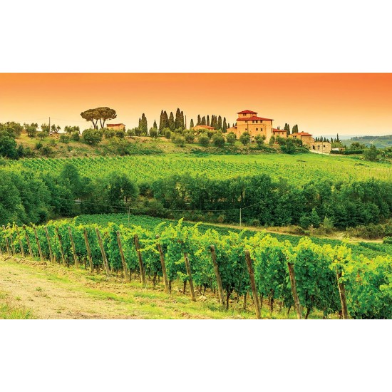 Wall mural vineyards beautiful views of Tuscany Wall mural vineyards beautiful views of Tuscany
