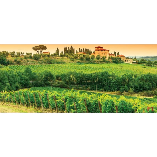 Wall mural vineyards beautiful views of Tuscany Wall mural vineyards beautiful views of Tuscany