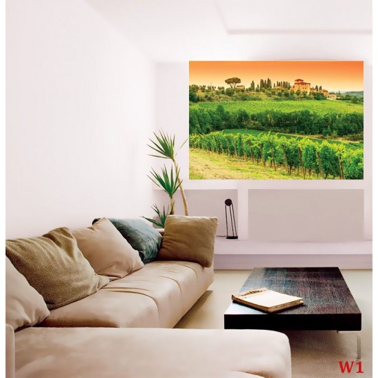 Wall mural vineyards beautiful views of Tuscany Wall mural vineyards beautiful views of Tuscany