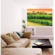 Wall mural vineyards beautiful views of Tuscany Wall mural vineyards beautiful views of Tuscany