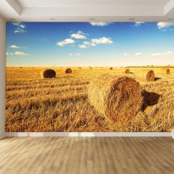 Wall mural sunny field with bales