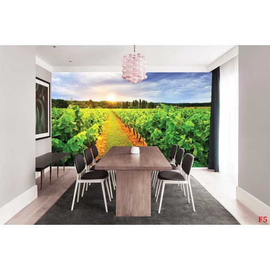Wall mural overlooking vineyards field at sunrise Wall mural overlooking vineyards field at sunrise