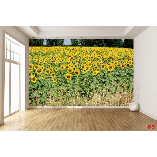 Wall mural sunflower field stalks Wall mural sunflower field stalks