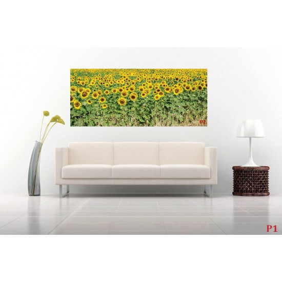 Wall mural sunflower field stalks Wall mural sunflower field stalks