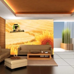 Wall mural harvester in the field and sunflowers