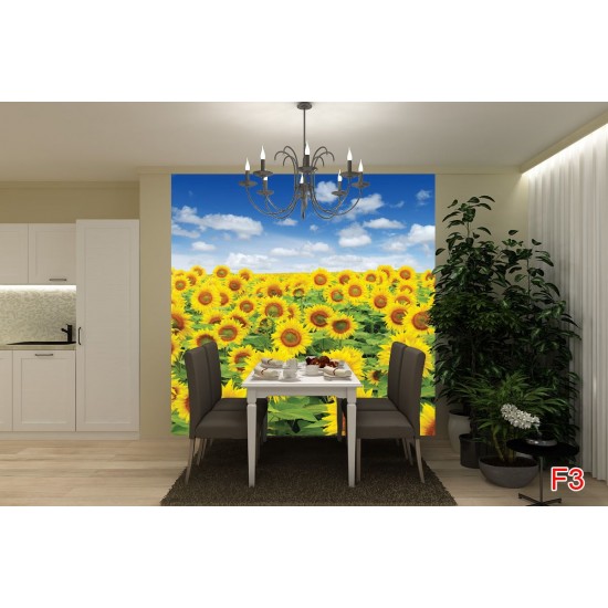 Wall mural beautiful sunflowers field Wall mural beautiful sunflowers field
