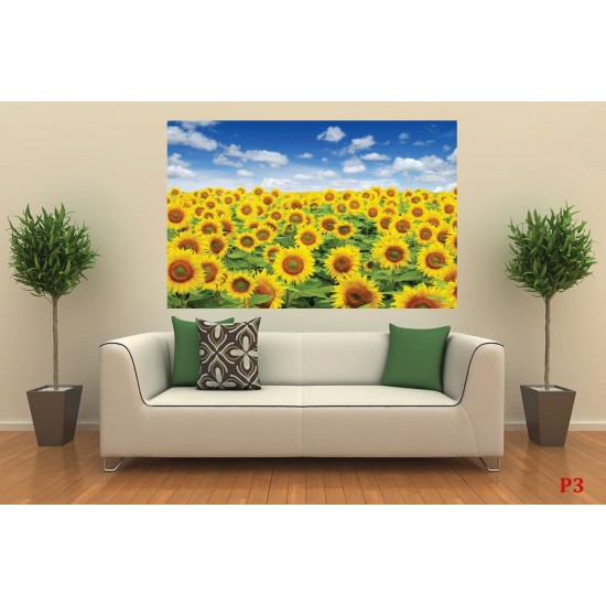 Wall mural beautiful sunflowers field Wall mural beautiful sunflowers field