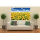 Wall mural beautiful sunflowers field Wall mural beautiful sunflowers field