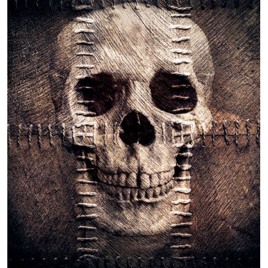 Wallpapers skull with textile stitches