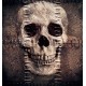Wallpapers skull with textile stitches
