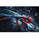 Wallpapers mural children model with Spiderman Wallpapers mural children model with Spiderman