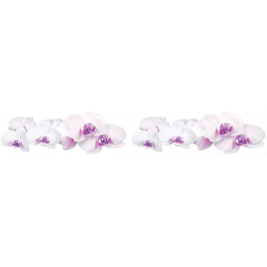 Wall murals for a kitchen lined white orchids with pink Wall murals for a kitchen lined white orchids with pink