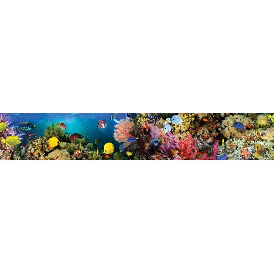 Wall murals for a kitchen water bottom fish