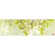 Photo mural for a kitchen art leaves green gamut  