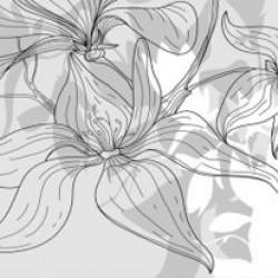 Wall murals for a kitchen art leaves grey gamut