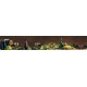 Wall murals for a kitchen composition of wine and grape on brown background Wall murals for a kitchen composition of wine and grape on brown background