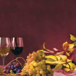 Wall murals for a kitchen composition of wine and grape on claret background