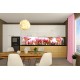 Wall murals for a kitchen with tulips in a garden Wall murals for a kitchen with tulips in a garden