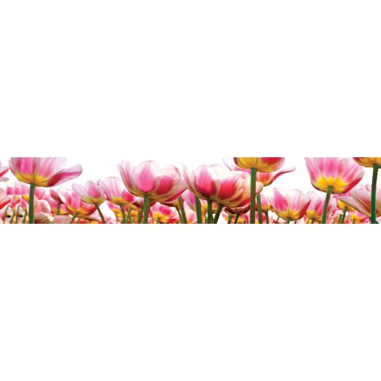 Wall murals for a kitchen with tulips in a garden Wall murals for a kitchen with tulips in a garden