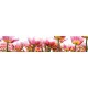 Wall murals for a kitchen with tulips in a garden Wall murals for a kitchen with tulips in a garden