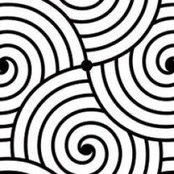 Wall murals for a kitchen graphic black and white