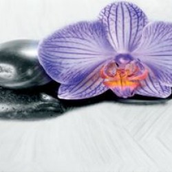 Wall murals for a kitchen violet orchid and spa pebbles