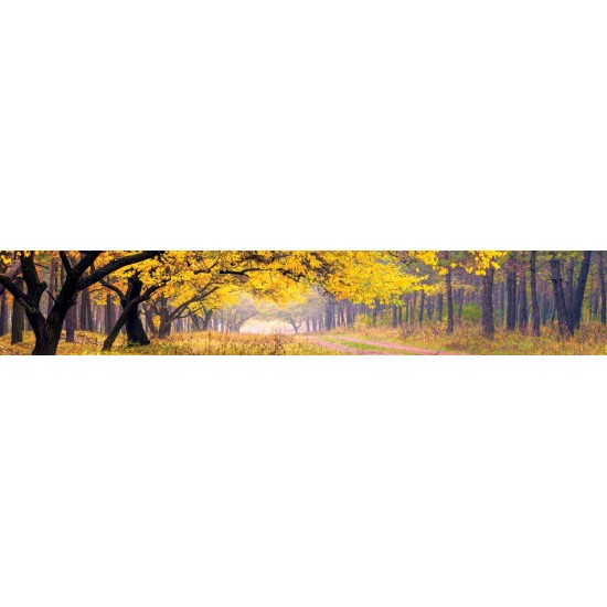 Wall murals for a kitchen autumn forest