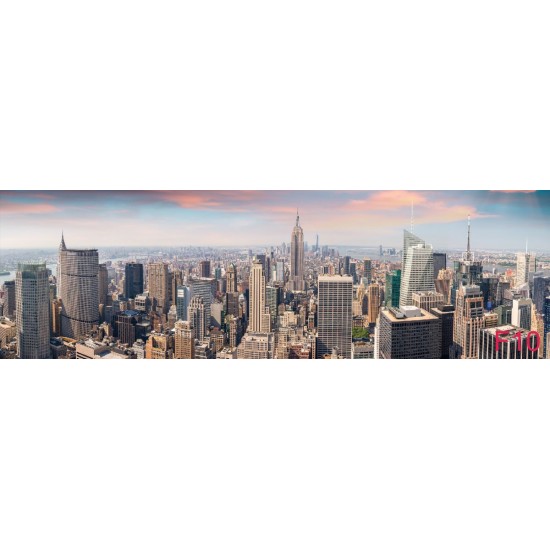 Wall mural daily view of New York Manhattan maxi size